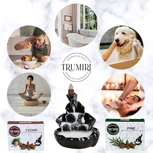 Backflow Incense Cones - Combo Pack of 20 Incense Cones Waterfall - 10 Cedar + 10 Pine - Incense Backflow Cones - Waterfall Incense Cones - Incense Waterfall Cones