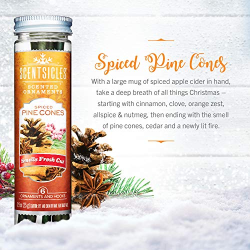 Scentsicles - 01647-012 Scented Christmas Ornaments for Christmas Tree, All Natural Holiday Air Freshener (Spiced Pine Cones Holiday Fragrance) Includes 6 Ornaments & Hooks
