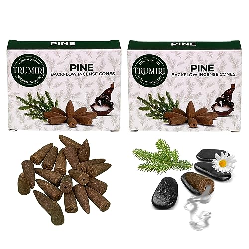 Pine Backflow Incense Cones - Total 20 Incense Cones Waterfall - Dual Pack of 10 Incense Backflow Cones - Waterfall Incense Cones - Incense Waterfall Cones