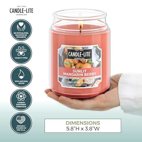 CANDLE-LITE Scented Sunlit Mandarin Berry Fragrance, One 18 oz. Single-Wick Aromatherapy Candle with 110 Hours of Burn Time, Orange Color, Jar (Individual Box)