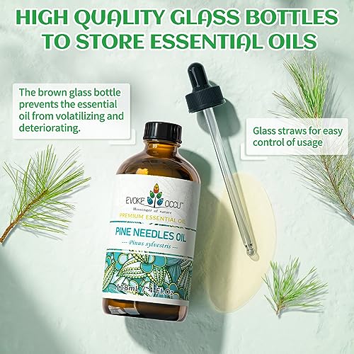 EVOKE OCCU Pine Needle Essential Oil 4 Fl Oz, Pure Pine Needle Oil for Home Diffuser Fragrance DIY Candle Soap Making- 118ml