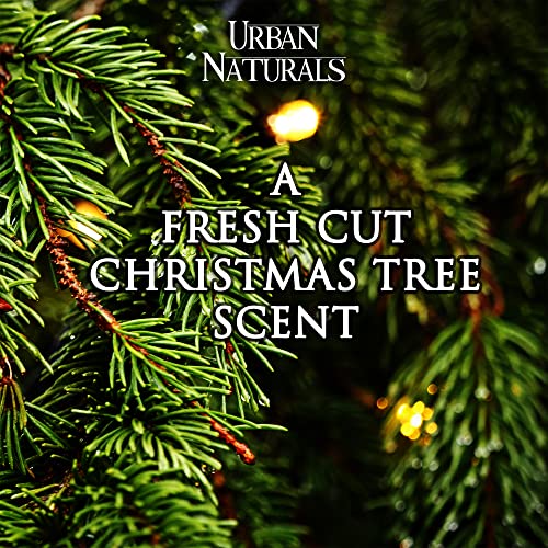 Urban Naturals Balsam Forest Reed Diffuser Oil Set - REAL Juniper and Pine cones – Fragrance notes of Fraser Fir, Evergreen, Pine, Woodsy Cedar and Sandalwood – Vegan 3.75 ounces – Made in The USA