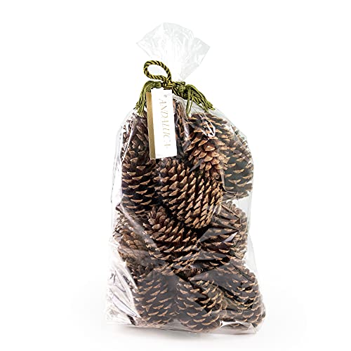 ANDALUCA Pinecone Vase & Bowl Fillers | Scented Pine cones Decor (Natural)