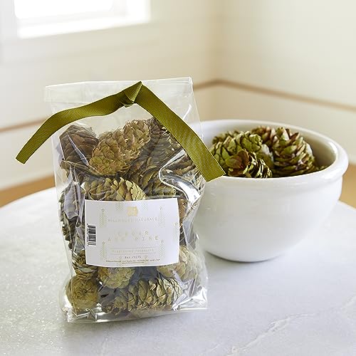 Hillhouse Naturals Potpourri Green Pine Cones - Potpourri Bowl Filler Vase Christmas Scent Potpourri Pine Scented Dried Flower Fragrance Farmhouse Decor - 8oz (Cedar & Pine)