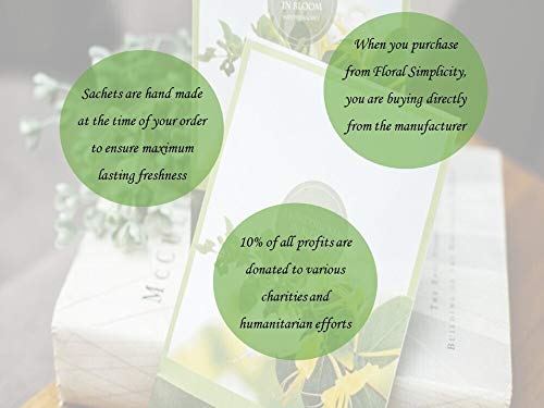 Simplicity Scents Sachets Pine Lands Scented (Everyday) - 6 Pack - Long Lasting, ECO-Friendly Home Fragrance - Air Freshener - Made in The USA