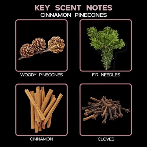 LOVSPA Cinnamon Pinecones Reed Diffuser Oil Gift Set | Woody Pine Cones, Woods, Fir Needles, Cinnamon, Clove & Sandalwood | Festive Scented Air Freshener & Home Decor