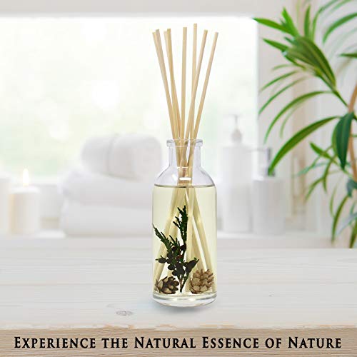 Urban Naturals Balsam Forest Reed Diffuser Oil Set - REAL Juniper and Pine cones – Fragrance notes of Fraser Fir, Evergreen, Pine, Woodsy Cedar and Sandalwood – Vegan 3.75 ounces – Made in The USA