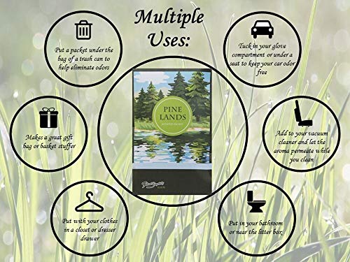 Simplicity Scents Sachets Pine Lands Scented (Everyday) - 6 Pack - Long Lasting, ECO-Friendly Home Fragrance - Air Freshener - Made in The USA