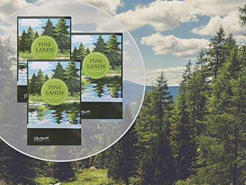 Simplicity Scents Sachets Pine Lands Scented (Everyday) - 6 Pack - Long Lasting, ECO-Friendly Home Fragrance - Air Freshener - Made in The USA