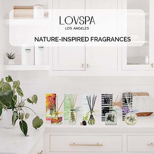 LOVSPA Cinnamon Pinecones Reed Diffuser Oil Gift Set | Woody Pine Cones, Woods, Fir Needles, Cinnamon, Clove & Sandalwood | Festive Scented Air Freshener & Home Decor