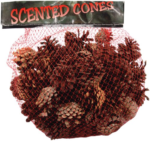Winter Woods Cinnamon Scented Pine Cones Small Mix 1 Lb/Pkg-Natural