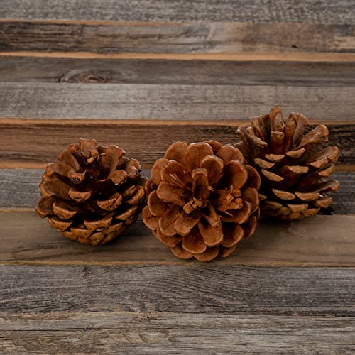 Cinnamon Scented Pinecones for Decorating - 1lb (40) Pack Small Cinnamon Pine Cones for Crafts and Vase Filler - Cinnamon Fragrance Pine Cones - Decorative Pinecones - Mini Pine Cones -Pine Cone Decor