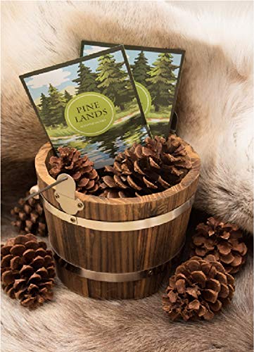 Simplicity Scents Sachets Pine Lands Scented (Everyday) - 6 Pack - Long Lasting, ECO-Friendly Home Fragrance - Air Freshener - Made in The USA