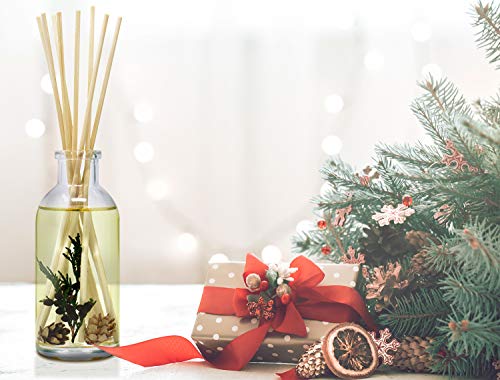 Urban Naturals Balsam Forest Reed Diffuser Oil Set - REAL Juniper and Pine cones – Fragrance notes of Fraser Fir, Evergreen, Pine, Woodsy Cedar and Sandalwood – Vegan 3.75 ounces – Made in The USA