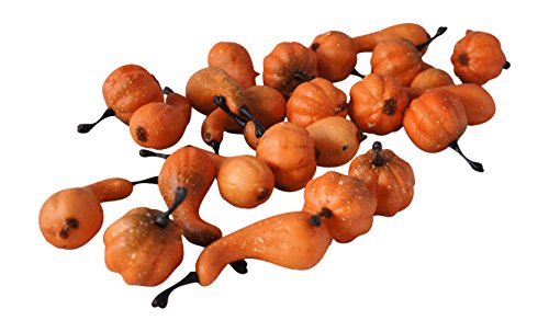 BCD Mini Pumpkins & Gourds Fall Harvest Display Fillers Country Primitive Seasonal Décor