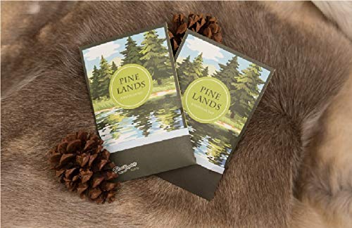 Simplicity Scents Sachets Pine Lands Scented (Everyday) - 6 Pack - Long Lasting, ECO-Friendly Home Fragrance - Air Freshener - Made in The USA