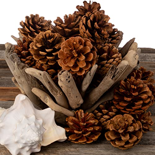 Cinnamon Scented Pinecones for Decorating - 1lb (40) Pack Small Cinnamon Pine Cones for Crafts and Vase Filler - Cinnamon Fragrance Pine Cones - Decorative Pinecones - Mini Pine Cones -Pine Cone Decor