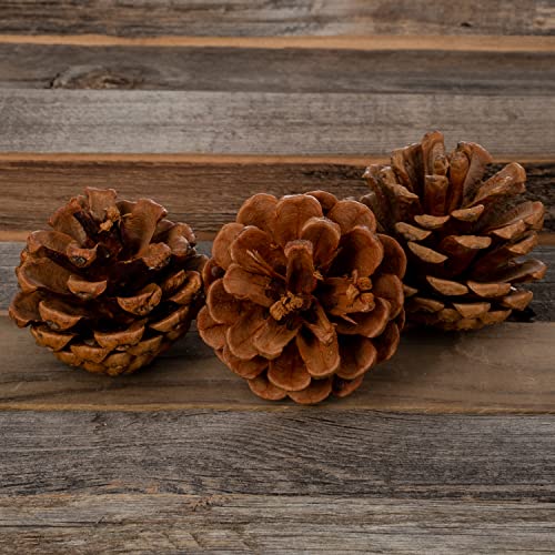 Cinnamon Scented Pinecones for Decorating - 1lb (40) Pack Small Cinnamon Pine Cones for Crafts and Vase Filler - Cinnamon Fragrance Pine Cones - Decorative Pinecones - Mini Pine Cones -Pine Cone Decor