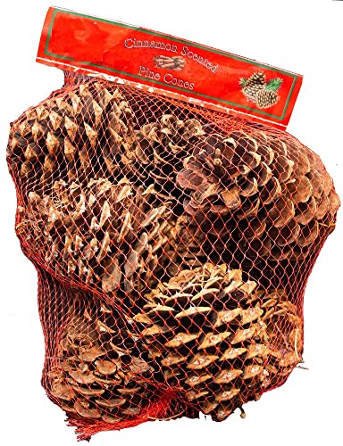 Rocky Mountain Goods Cinnamon Scented Pine Cones - Bag of 10+ Christmas Fragrant Pine Cones - Christmas Smell and Decoration - Pine Cones for Crafts, Ornaments, Decorations