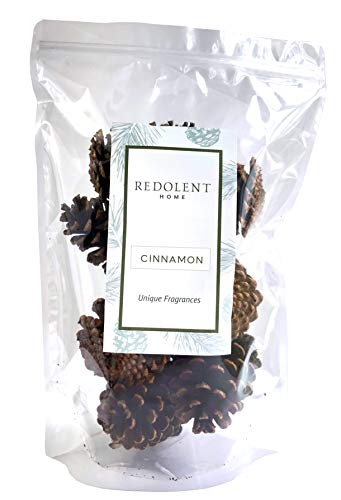 Cinnamon Scented Pine Cones - (7) 3" to 4” Tall Bulk Package Premium, Bug Free, and Perfect for Crafting for Home Accent Decor Pine Cones - Cinnamon Fragrance