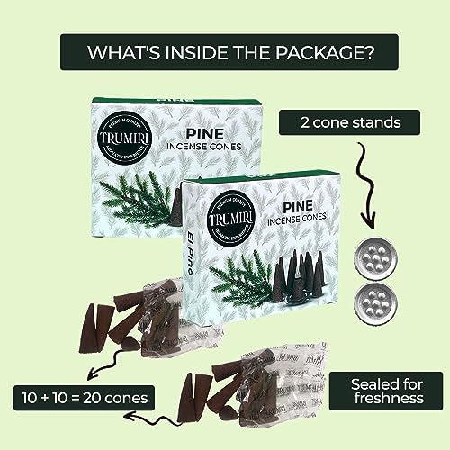 Pine Incense Cones - Total 20 Cone Incense - Dual Pack of 10 Insence Cones - Incense Cones Scented - Cone Incense Scents - Insense Cones - Incent Cone