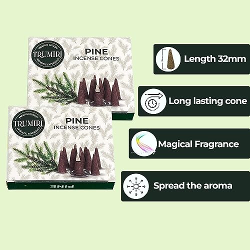 Pine Incense Cones - Total 20 Cone Incense - Dual Pack of 10 Insence Cones - Incense Cones Scented - Cone Incense Scents - Insense Cones - Incent Cone