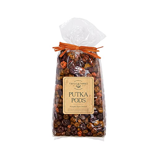 Putka Pods Pumpkin Spice Scented Brown/Orange Mini Pumpkins, Great for Fall Potpourri Crafts and Bowl Filler, Home Decor 5 Cups