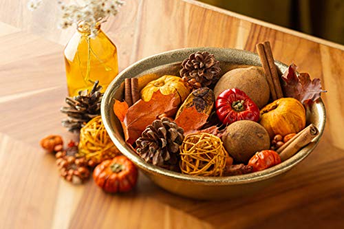 ANDALUCA Autumn Pumpkin Patch Scented Potpourri | Large 20 oz. Bag with Fragrance Vial | Made in California