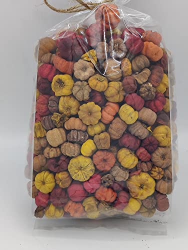 Fall Putka Pod Blend (Pumpkin Pods) for Crafts, Potpourri and Fall/Thanksgiving Bowl Fillers 4 Heaping Cups