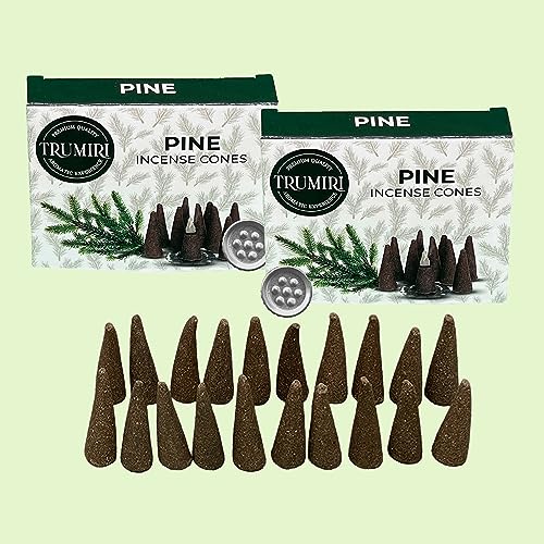 Pine Incense Cones - Total 20 Cone Incense - Dual Pack of 10 Insence Cones - Incense Cones Scented - Cone Incense Scents - Insense Cones - Incent Cone