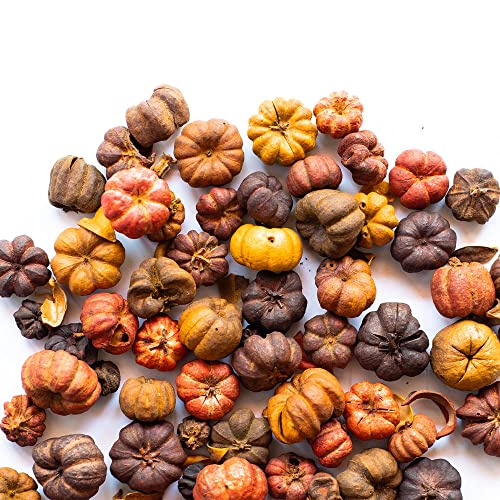 Putka Pods Pumpkin Spice Scented Brown/Orange Mini Pumpkins, Great for Fall Potpourri Crafts and Bowl Filler, Home Decor 5 Cups