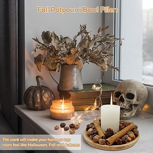 Fall Potpourri With Mini Pumpkin*25g, Cinnamon Stick*10 PCS, Larch Cones*15 PCS, Acorns*10PCS, Perfect Fall Potpourri Bowl Filler, Fall Scents Farmhouse Harvest Christmas Thanksgiving Autumn Potpourri