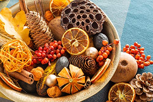 ANDALUCA Blissful Harvest Potpourri | Made in California | Large 20 oz Bag w/Fragrance Vial Included | Scents of Orange Zest, Nutmeg and Pumpkin