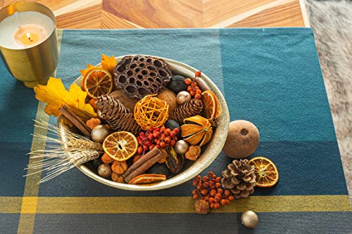 ANDALUCA Blissful Harvest Potpourri | Made in California | Large 20 oz Bag w/Fragrance Vial Included | Scents of Orange Zest, Nutmeg and Pumpkin