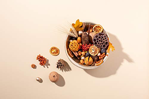 ANDALUCA Blissful Harvest Potpourri | Made in California | Large 20 oz Bag w/Fragrance Vial Included | Scents of Orange Zest, Nutmeg and Pumpkin
