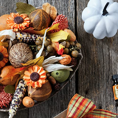 Aromatique Pumpkin Spice Potpourri Bag 8oz - Decorative Home Fragrance Sachet Botanicals, Perfect Fall Decoration Long Lasting Room Air Freshener Deodorizer or Catchall Bowl Filler Decor Centerpiece