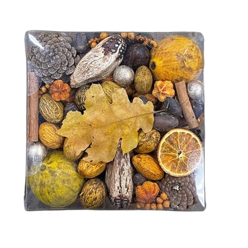 ANDALUCA Fall Harvest Fragrance Potpourri Decorative Vase & Bowl Filler Home Décor (Autumn Harvest)