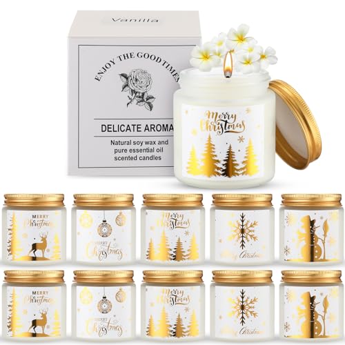 MTLEE 10 Pcs Christmas Candle Gift Set 10 Christmas Scented Candles Fragrances Aromatherapy Candle Gift Set for Women Xmas Candles Scented Merry Christmas Candle for Christmas Holiday Presents