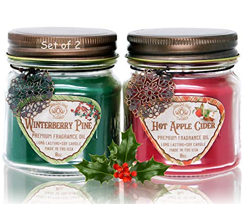 Way Out West Candles- Winter/Holiday Scented Candle Gift Pack of 2-8 Ounce Soy Wax Jar Candles- Fragrant, Long Lasting Hot Apple Cider and Winterberry Pine- Handmade in USA