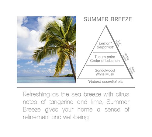 Acqua Aroma Summer Breeze Room Fragrance Spray 6.8 FL OZ (200ml)