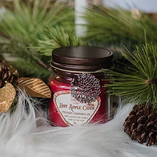 Way Out West Candles- Winter/Holiday Scented Candle Gift Pack of 2-8 Ounce Soy Wax Jar Candles- Fragrant, Long Lasting Hot Apple Cider and Winterberry Pine- Handmade in USA