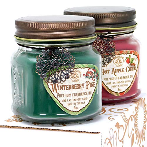 Way Out West Candles- Winter/Holiday Scented Candle Gift Pack of 2-8 Ounce Soy Wax Jar Candles- Fragrant, Long Lasting Hot Apple Cider and Winterberry Pine- Handmade in USA