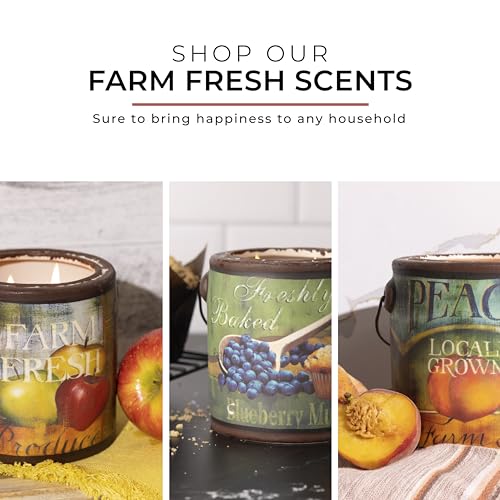 A CHEERFUL GIVER 95hr 20oz Scented Candle - Balsam Fir - Multi-Wick Glass Candle - Gifts For Men and Women