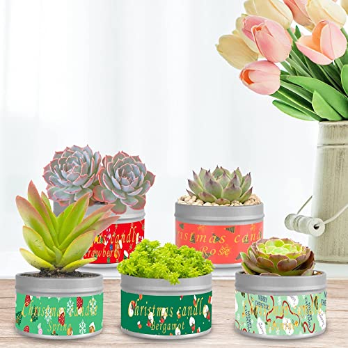 Christmas Scented Candles Gift Set, 12 PCS 2.5oz Aromatherapy Candles Gifts for Women Soy Wax Candles Gift for mom Portable Travel Tin Jar Candles for Birthday, Thanksgiving, Mother's Day