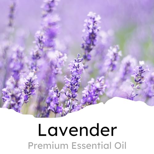 Air Jungles Lavender Scent Car Air Freshener Clip, 6 Car Freshener Vent Clips, 4ml Each, Long Lasting Air Freshener for Car, Up to 180 Days Car Refresher Odor Eliminator