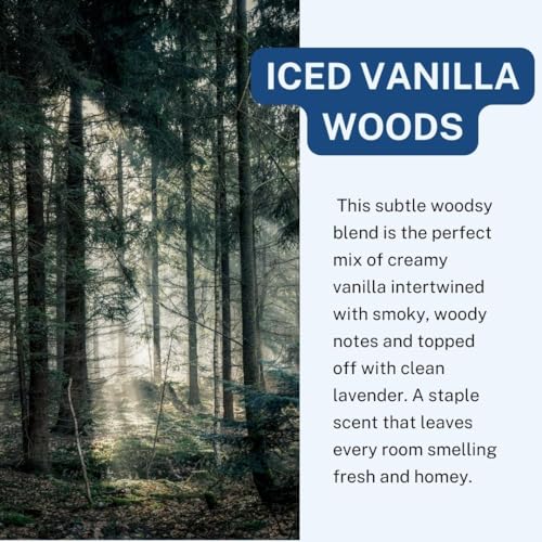 CE Craft Car Air Fresheners - Hanging Car Air Freshener Diffuser - Reusable Bottle with Long Lasting Car Oil Scent - 2 pack, Iced Vanilla Woods