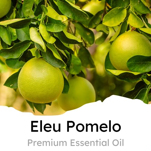 Air Jungles Eleu Pomelo Scent Car Air Freshener Clip, 6 Car Freshener Vent Clips, 4ml Each, Long Lasting Air Freshener for Car, Up to 180 Days Car Refresher Odor Eliminator