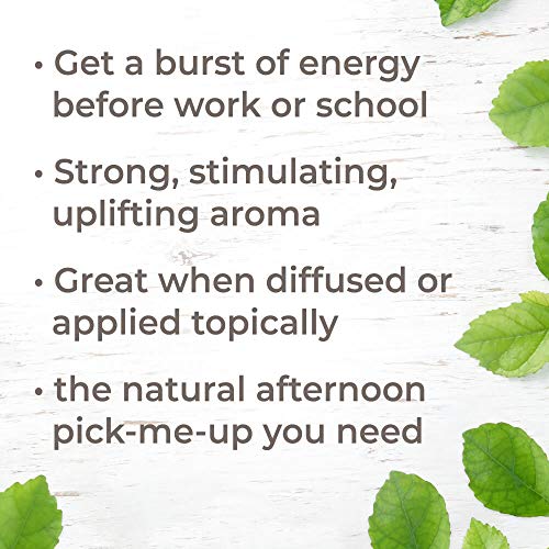 Plant Therapy Energy Essential Oil Blend 10 mL (1/3 oz) Refreshing, Energizing Blend 100% Pure, Pre-Diluted Roll-On, Natural Aromatherapy, Therapeutic Grade