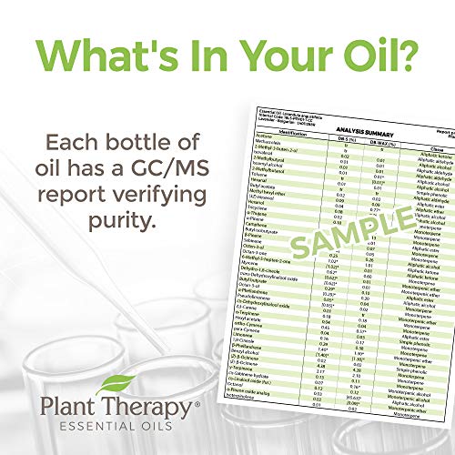 Plant Therapy Energy Essential Oil Blend 10 mL (1/3 oz) Refreshing, Energizing Blend 100% Pure, Pre-Diluted Roll-On, Natural Aromatherapy, Therapeutic Grade