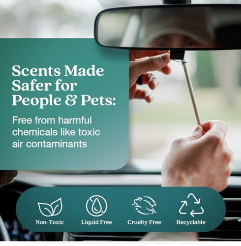 Enviroscent Non-Toxic Car Air Freshener (Seaside Coconut & Verbena) Natural Car Air Freshener | Essential Oil Diffuser | Car Scent Lasting Over 180 Days | 3 Packs of 2 Hanging Auto Stix